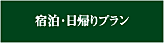 �h���E���A��v����
