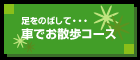 �Ԃł��U���R�[�X